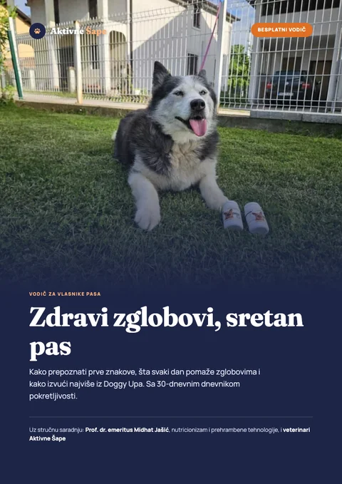 Naslovnica e-knjige Zdravi zglobovi, sretan pas