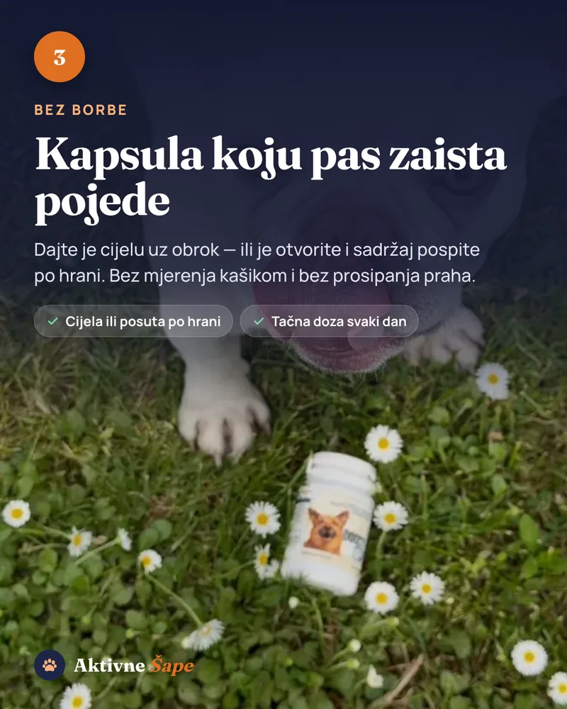Kapsula cijela uz obrok ili otvorena i posuta po hrani