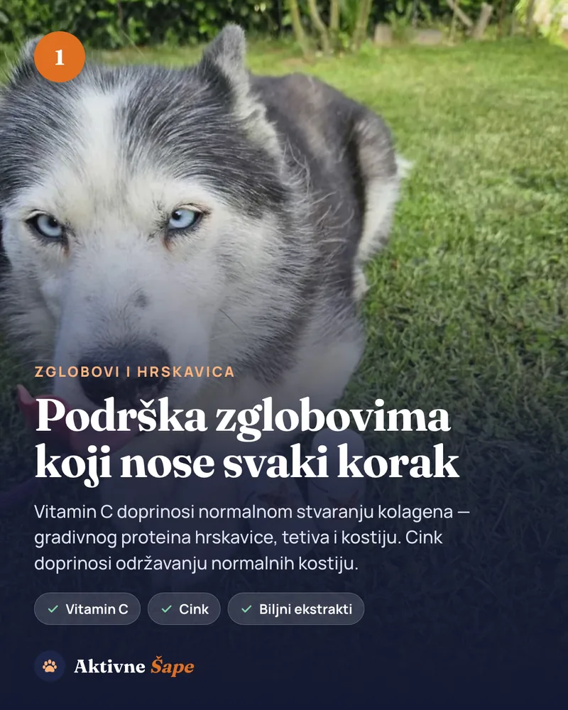 Podrška zglobovima: vitamin C doprinosi stvaranju kolagena, cink održavanju kostiju