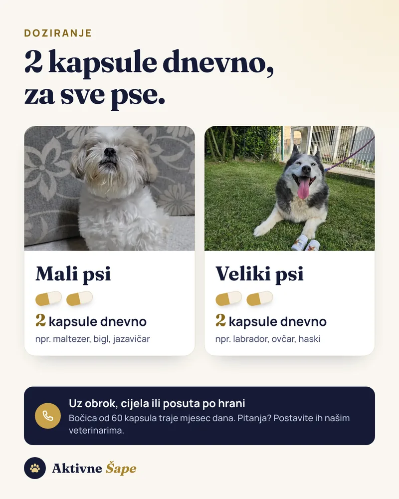 Doziranje Doggy Up: 2 kapsule dnevno za male i velike pse; na pitanja o dozi odgovaraju naši veterinari