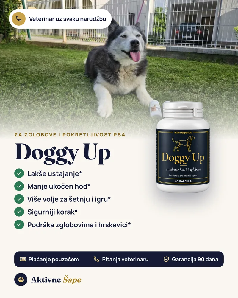 Doggy Up za zglobove i pokretljivost psa: lakše ustajanje, manje ukočen hod, više volje za šetnju; preporučuju veterinari u BiH