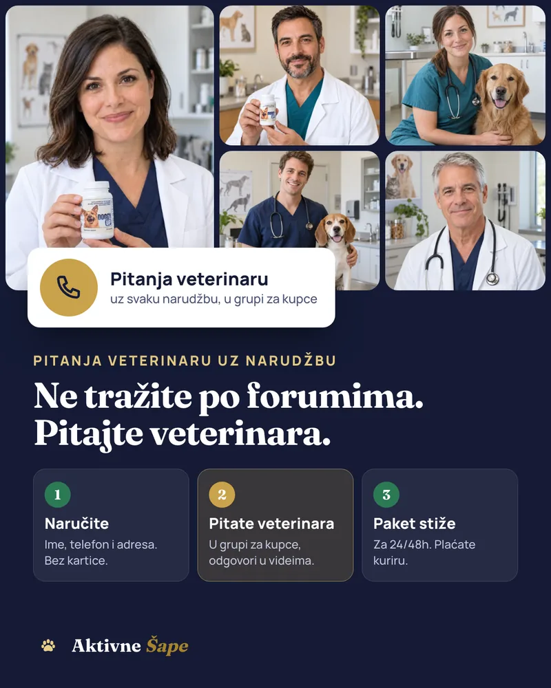 Veterinari u BiH preporučuju Doggy Up; uz narudžbu pitanja veterinaru