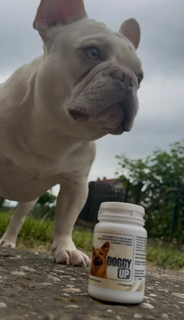 Bočica Doggy Up izbliza: suplementi za pse na bazi biljnih ekstrakata, magnezija, vitamina C i cinka
