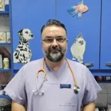 dr. vet. med. Azur Paprikić