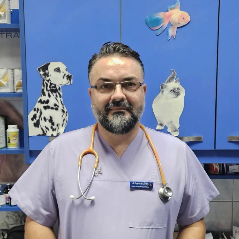 dr. vet. med. Azur Paprikić